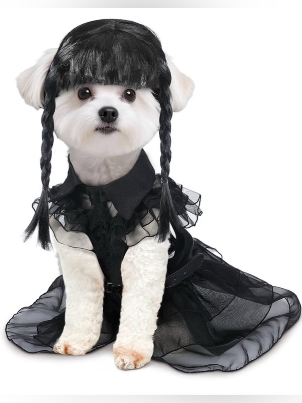 Black Gothic Ruffle Dog Dress Costume Halloween